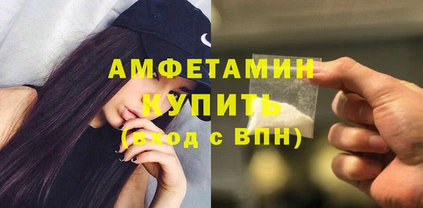 индика Горняк