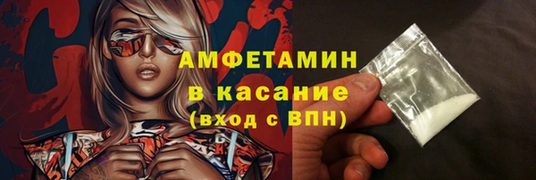 индика Горняк
