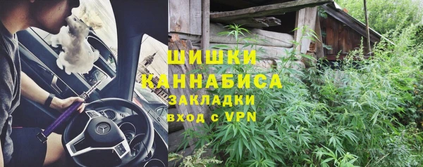 индика Горняк