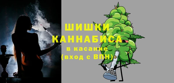 индика Горняк