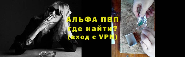 индика Горняк