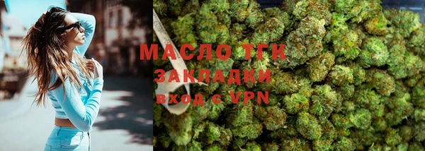 индика Горняк