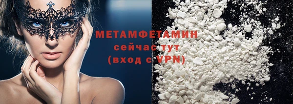 индика Горняк