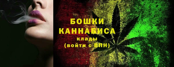 индика Горняк