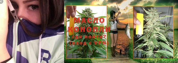 индика Горняк