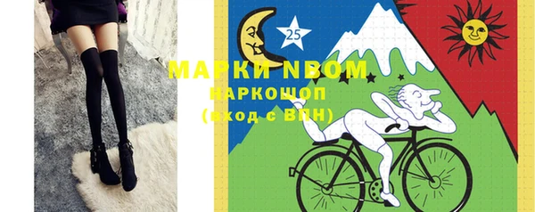 индика Горняк