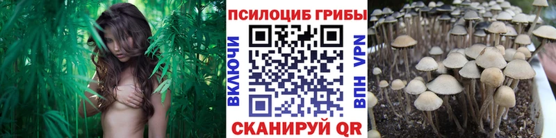Купить  Кинешма  Псилоцибиновые грибы мицелий 