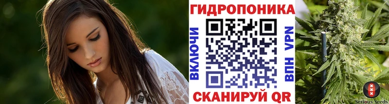 Купить закладки  Кинешма  Канабис конопля 
